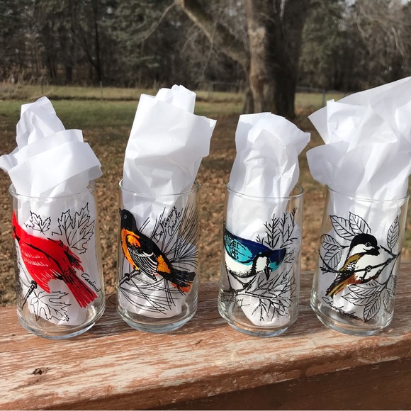 Vintage Colorful Painted Birds Drinking Glasses Set of 4